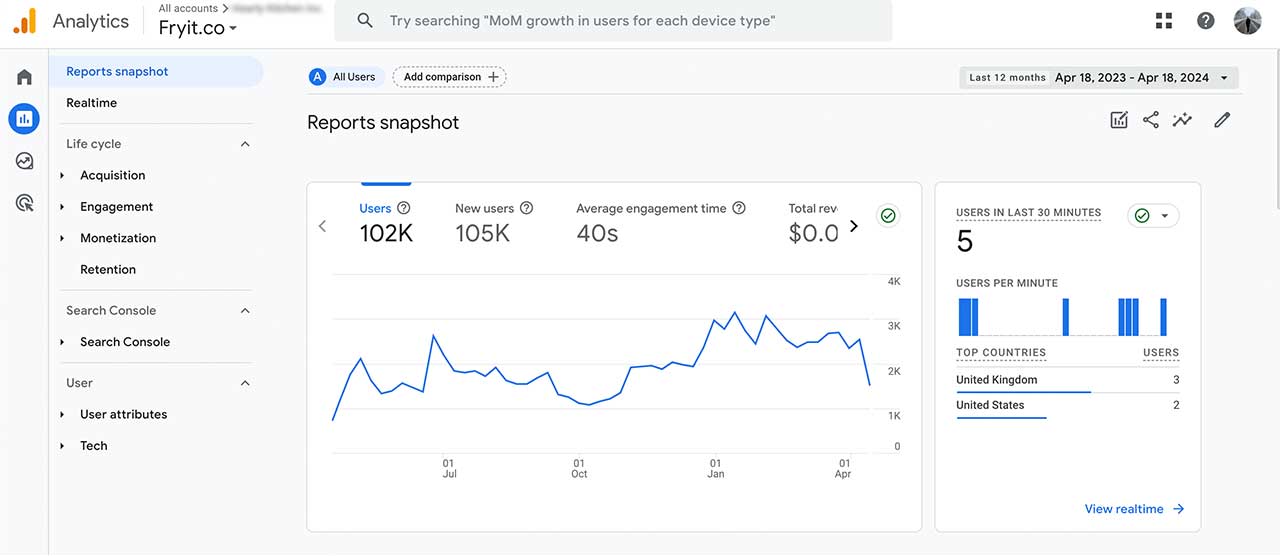 Screenshot of Fry It's Google Analytics Screenshot of Fry It's Google Analytics