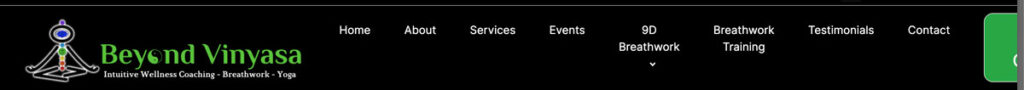 old header / navbar